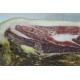 Jamon Ibérico de Cebo